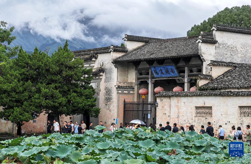 波克捕鱼的信任安全中心在哪儿